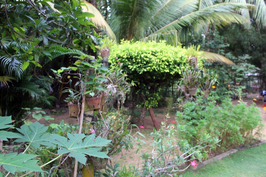 Anura Home Stay Kalutara Exterior photo